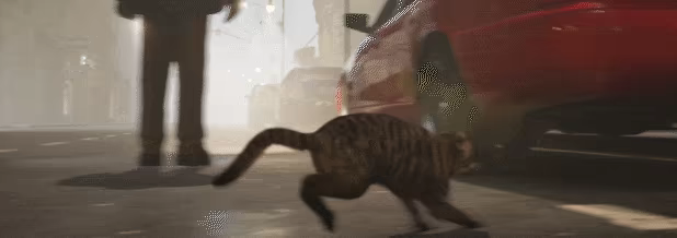 Cat Life Simulator video 2