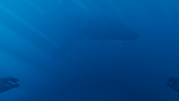 Thumbnail 0