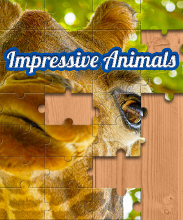 House of Jigsaw: Impressive Animals