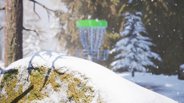 FLEX Disc Golf — 6