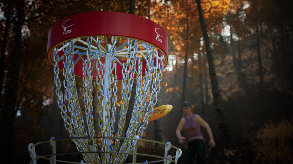 FLEX Disc Golf — 7