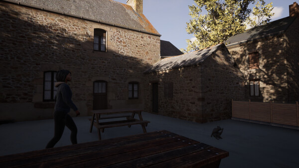 Screenshot media