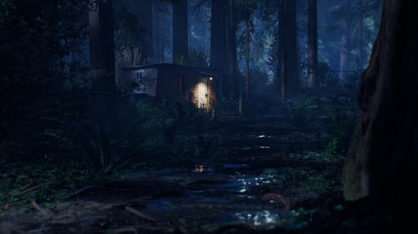 Thumbnail 19