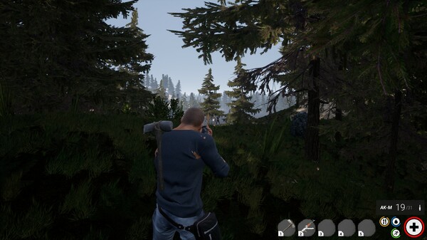 Thumbnail 15