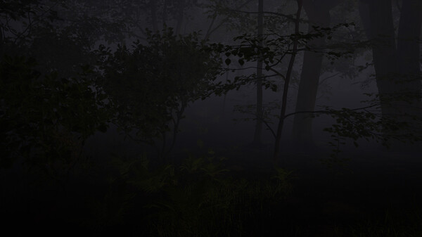 Joninės screenshot 5