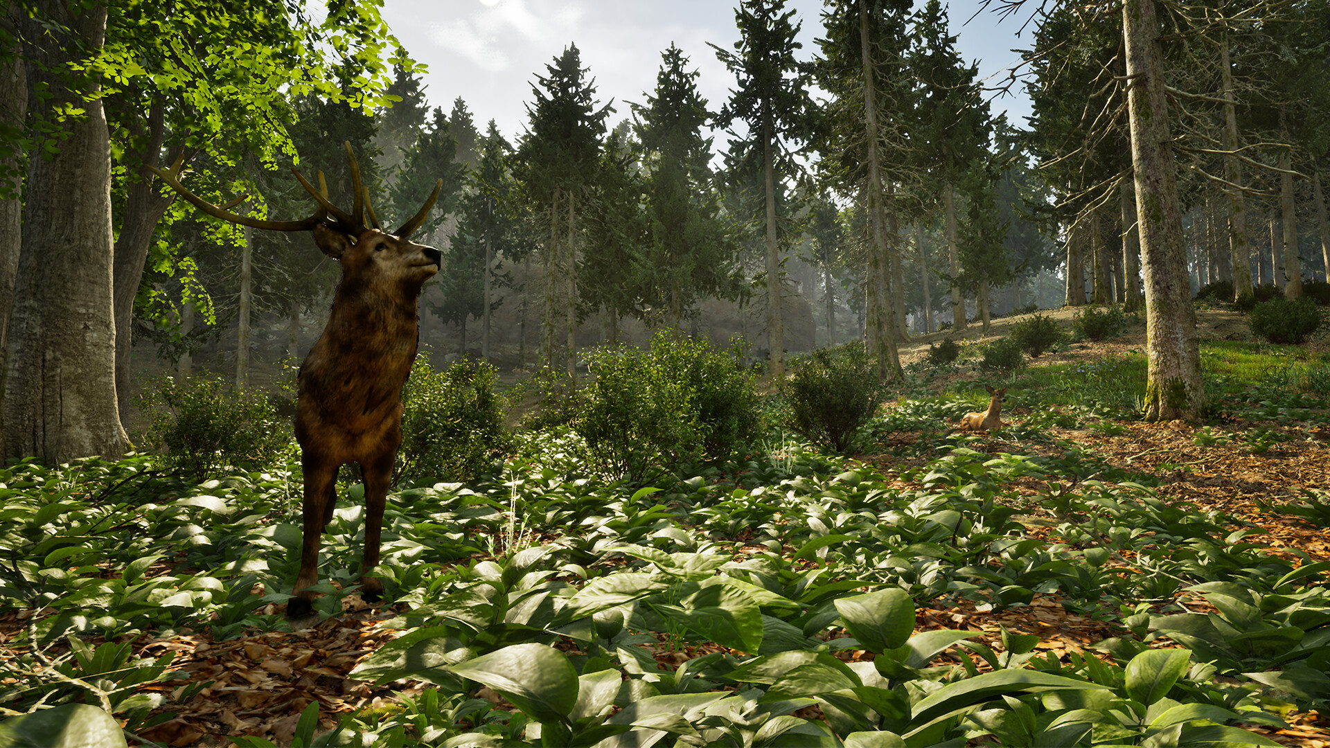 Park Ranger Simulator screenshot #7