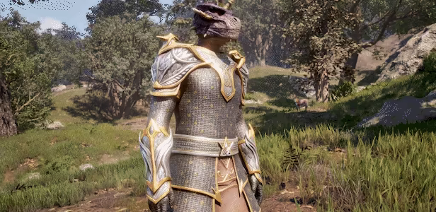The Elder Scrolls IV: Oblivion Remastered video 3