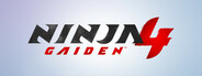 Ninja Gaiden 4