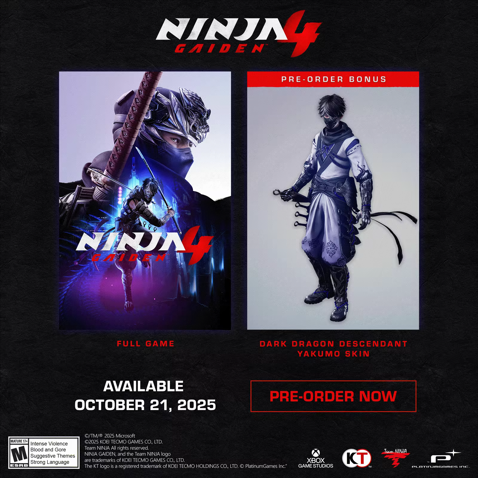 NINJA GAIDEN 4 image