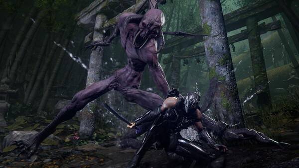 Screenshot of NINJA GAIDEN 4