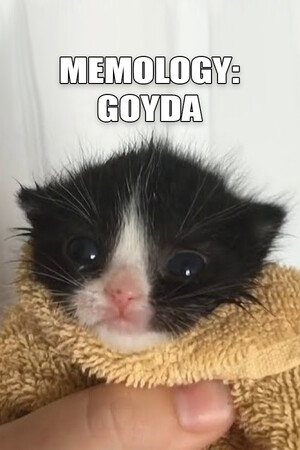 Cover art of MEMOLOGY: GOYDA