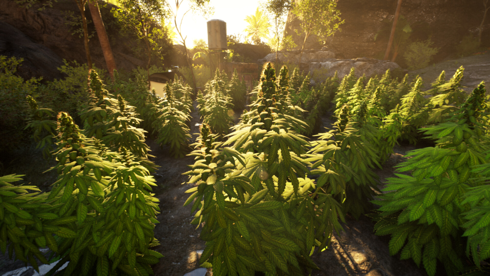 Weed Shop 4: Highland screenshot #4