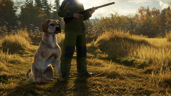 theHunter: Call of the Wild™ - Labrador Retriever