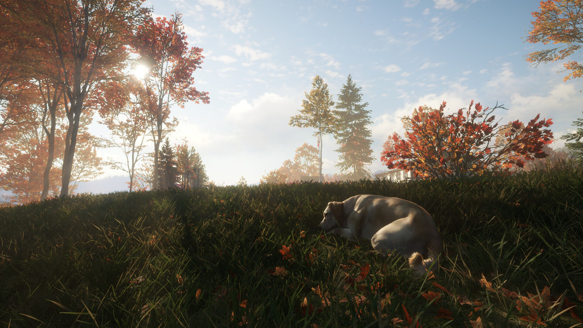 #7. theHunter: Call of the Wild™ - Labrador Retriever (Steam) 由: Avalanche Studios