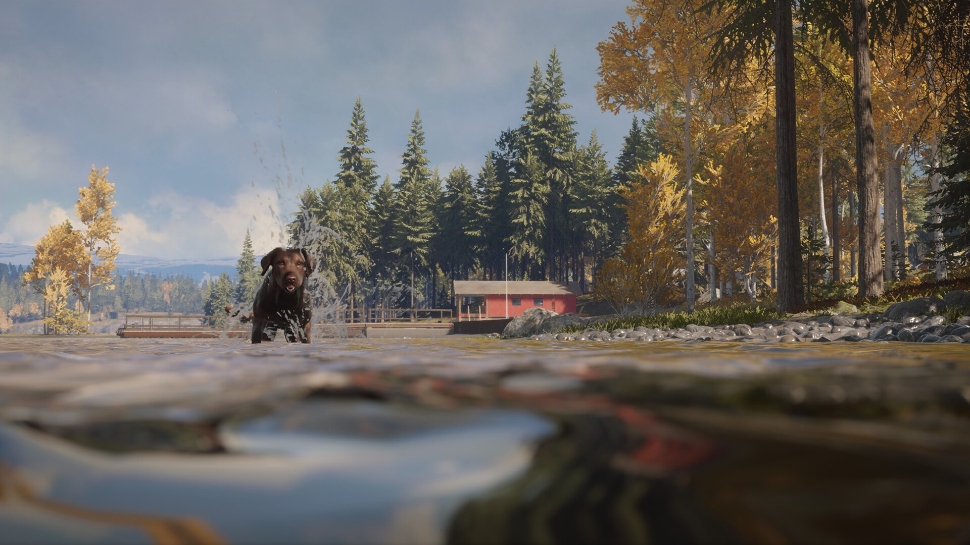 theHunter: Call of the Wild™ - Labrador Retriever Featured Screenshot #1