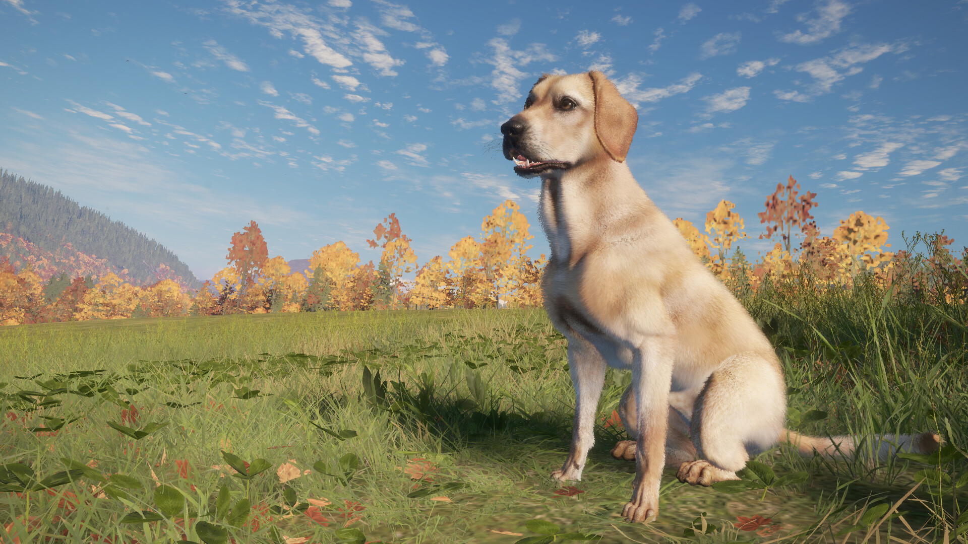 #2. theHunter: Call of the Wild™ - Labrador Retriever (Steam) 由: Avalanche Studios