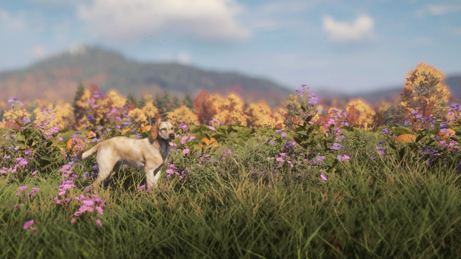 #6. theHunter: Call of the Wild™ - Labrador Retriever (Steam) 由: Avalanche Studios