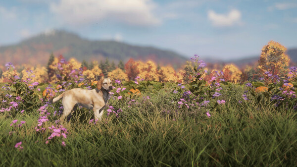 theHunter: Call of the Wild™ - Labrador Retriever