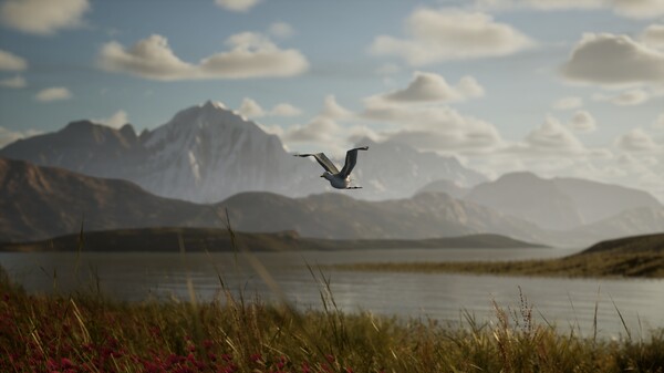 Photography Simulator Wildlife Prologue