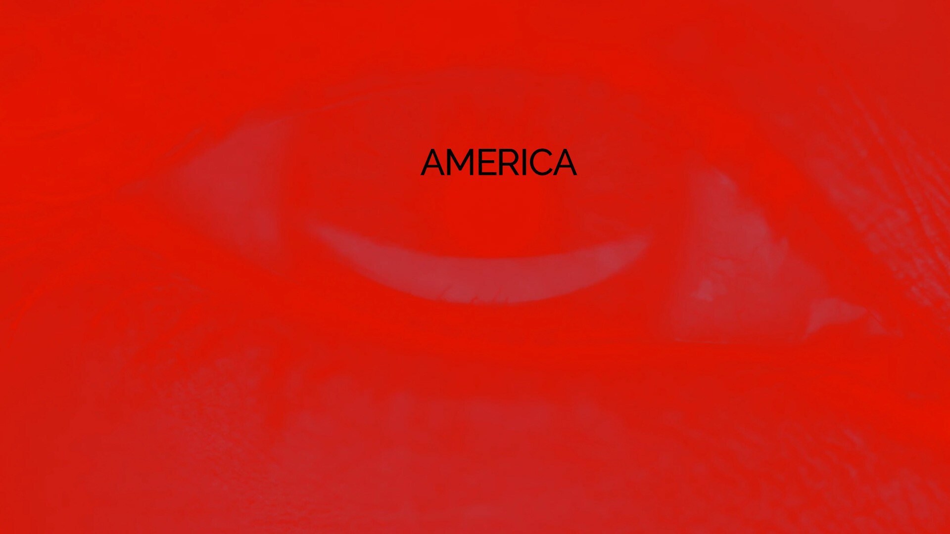 Project D████ screenshot #5