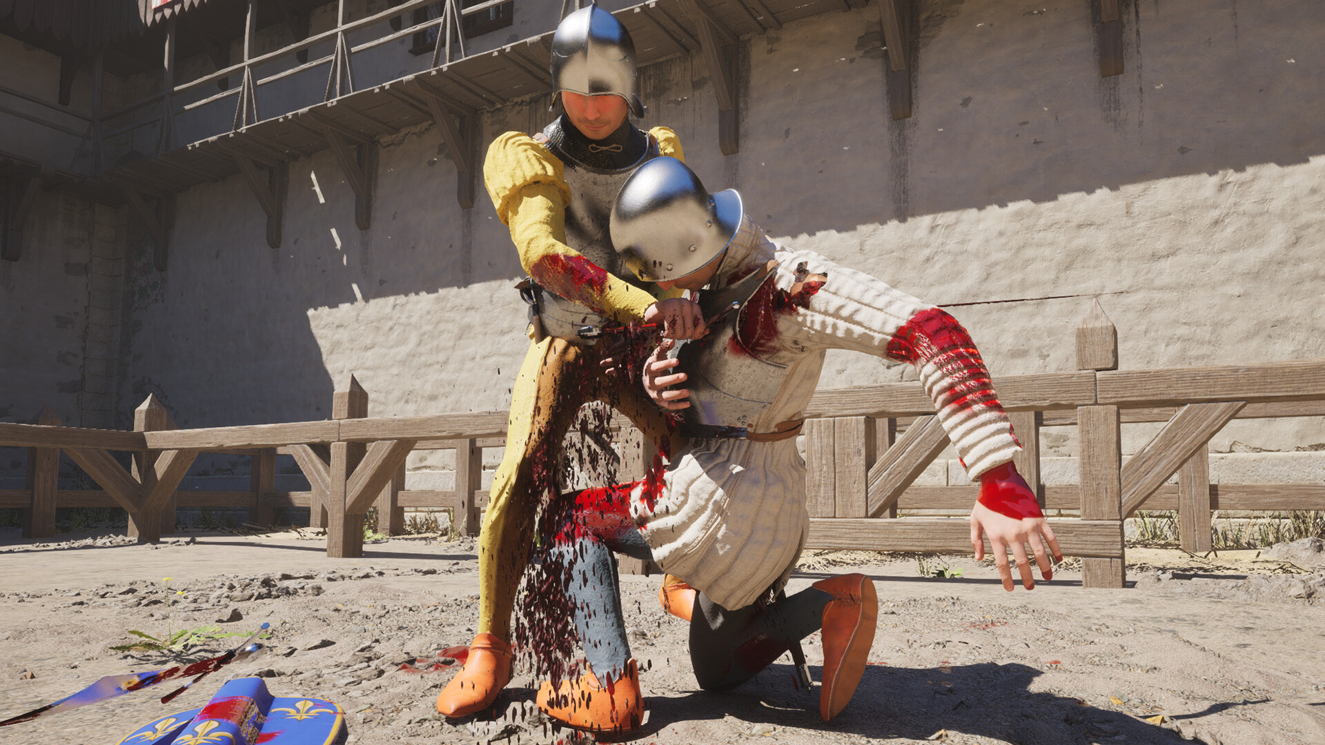 Screenshot of Half Sword Tech Demo