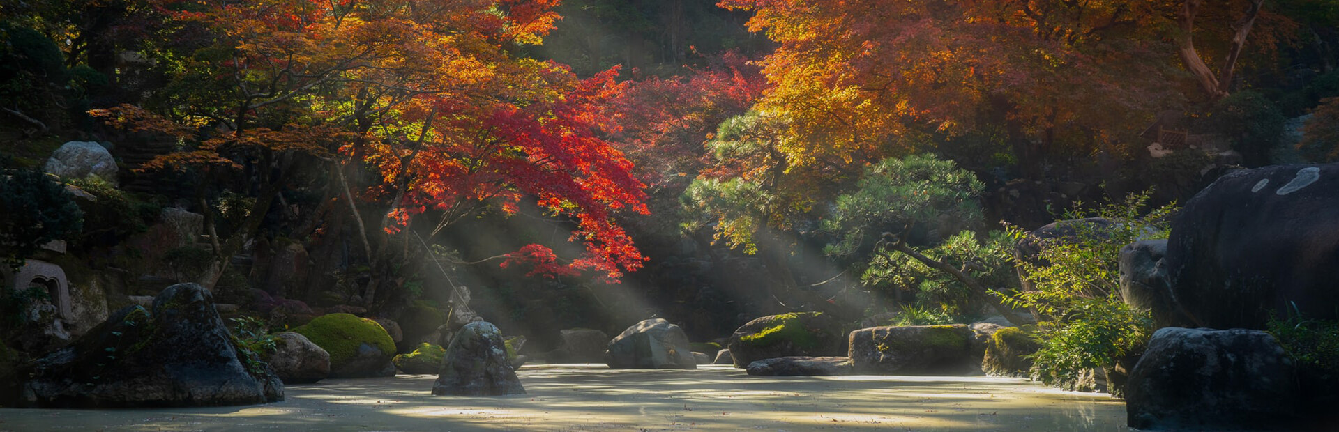 Niwa - Japanese Garden Simulator