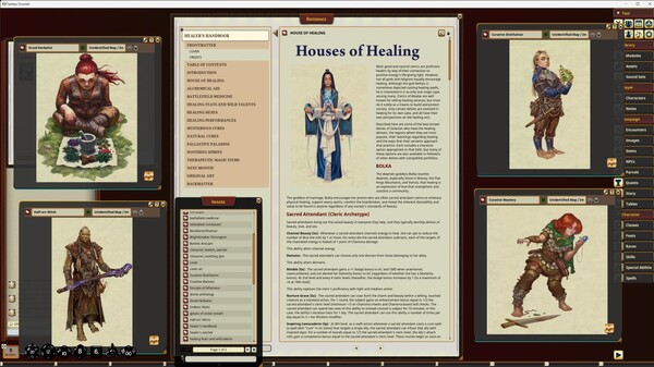 Fantasy Grounds - Pathfinder RPG - Pathfinder Companion: Healer's Handbook