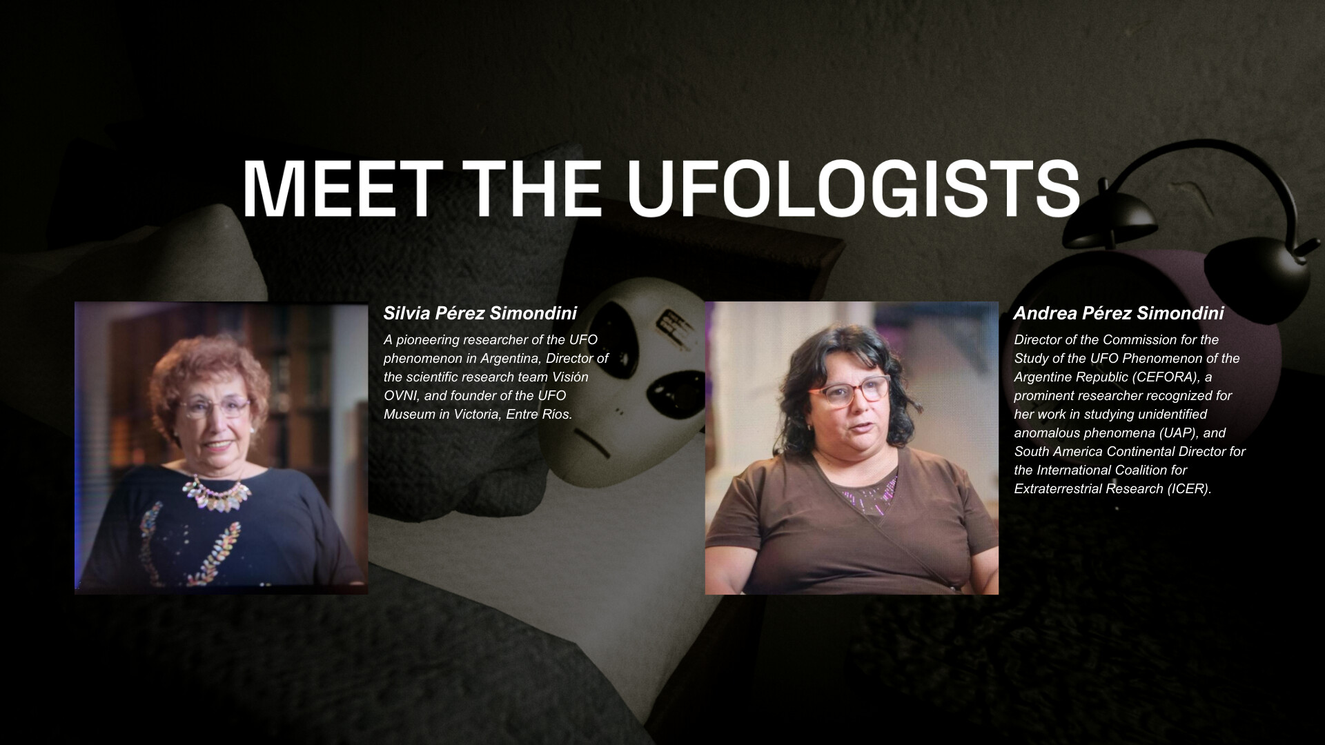 Who Are You!? screenshot #2