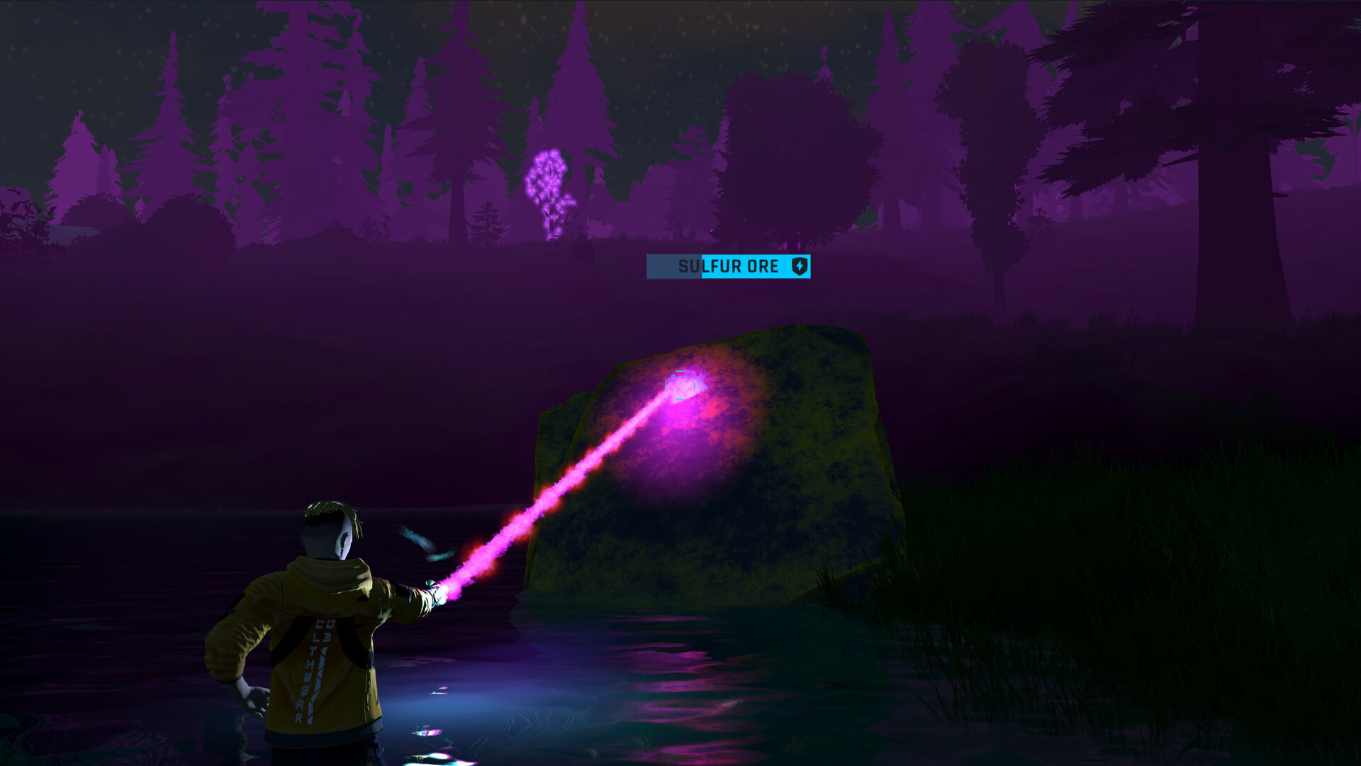 Wildsite screenshot #8