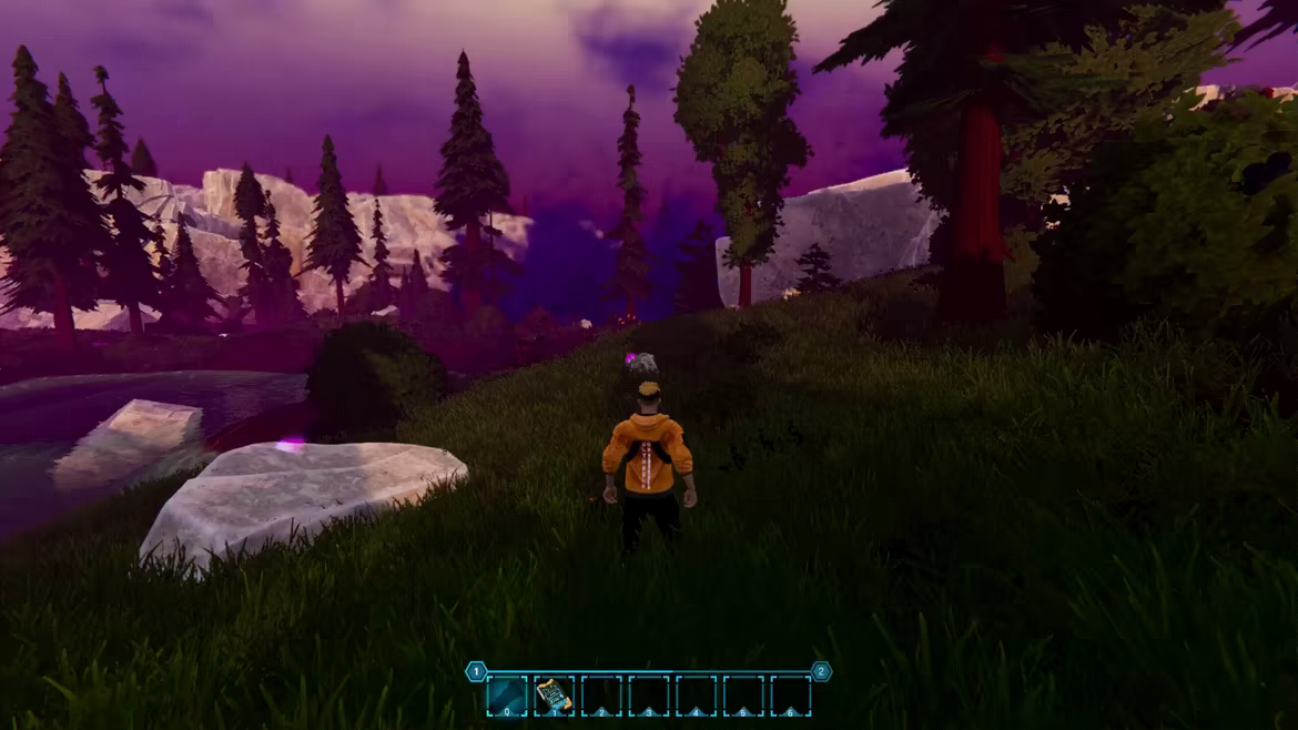 Wildsite video 6