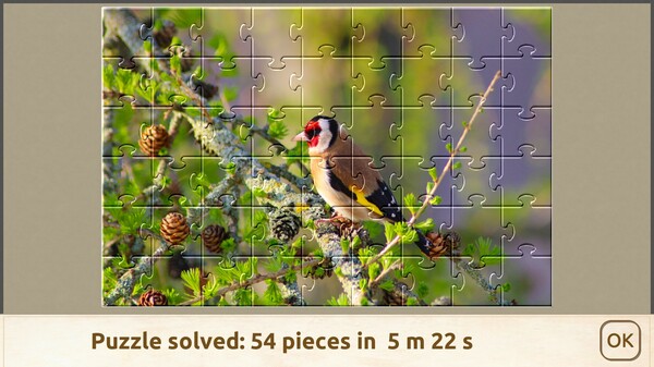 House of Jigsaw: Amazing Birds screenshot 5