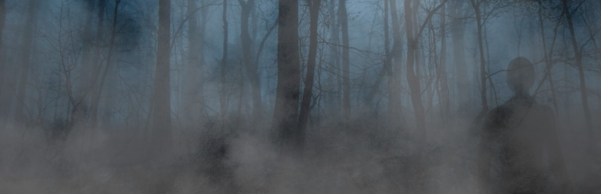 Echoes of Fear
