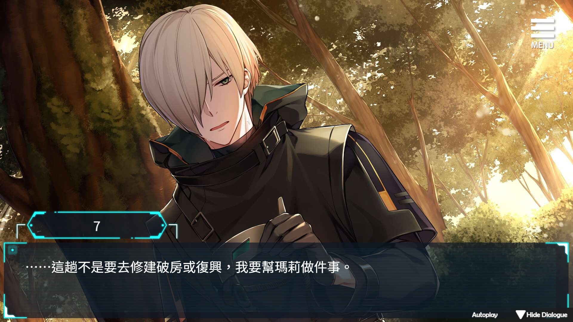 Shadow Among Nove screenshot #4