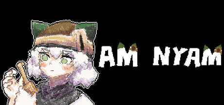 AMNYAM cover art