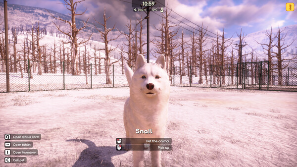 Screenshots