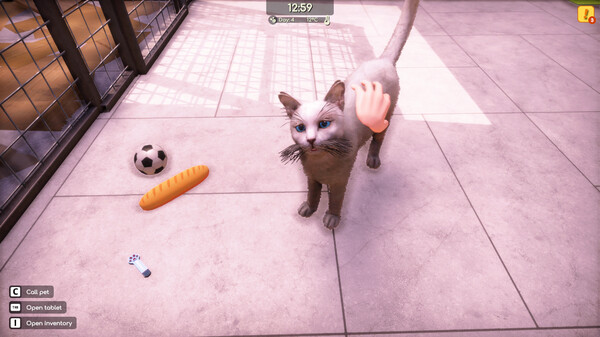 Animal Shelter 2
