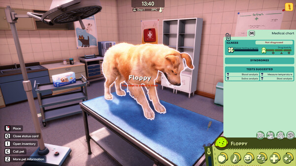 Animal Shelter 2