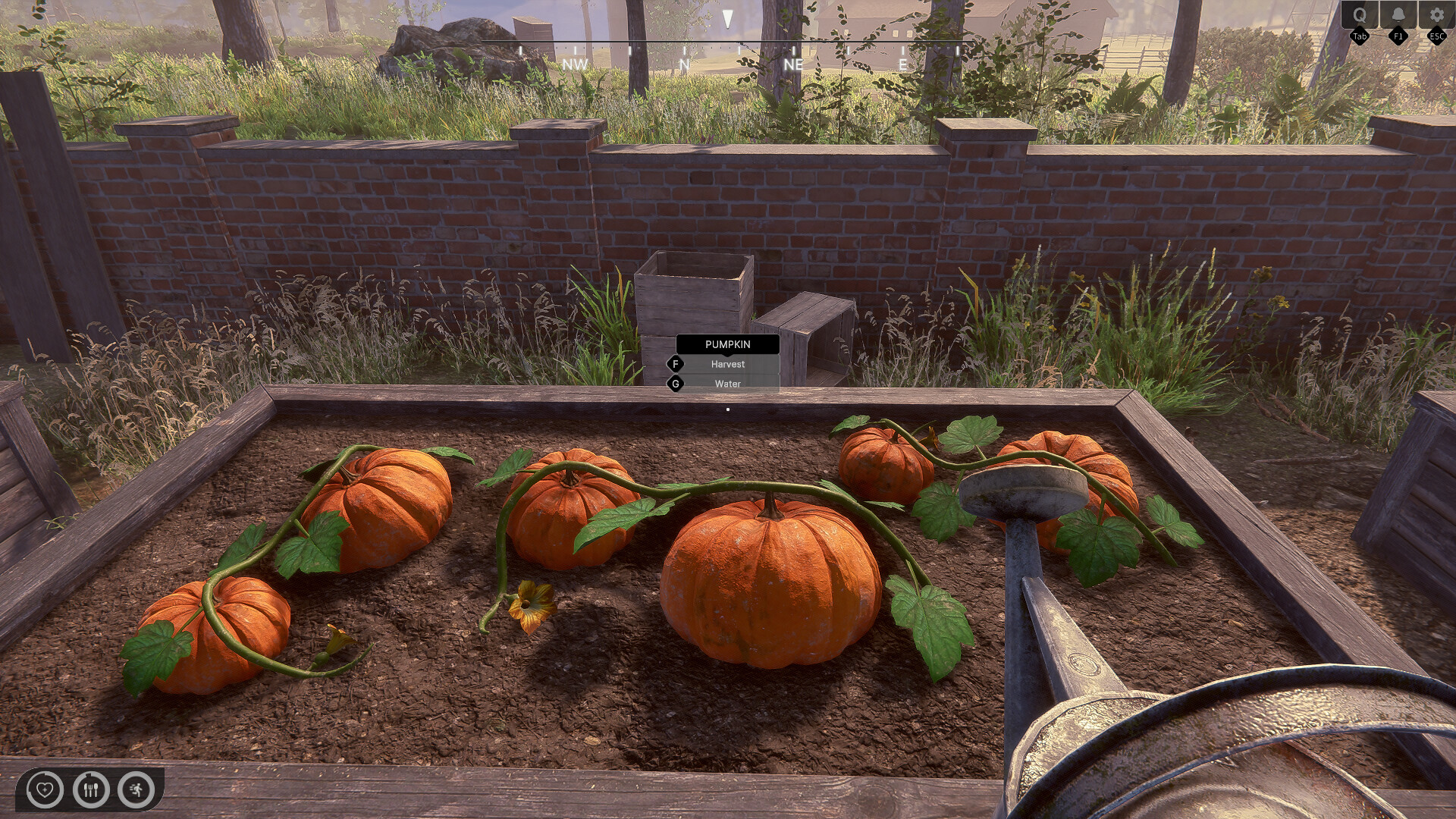 Rancher: A new life screenshot 7