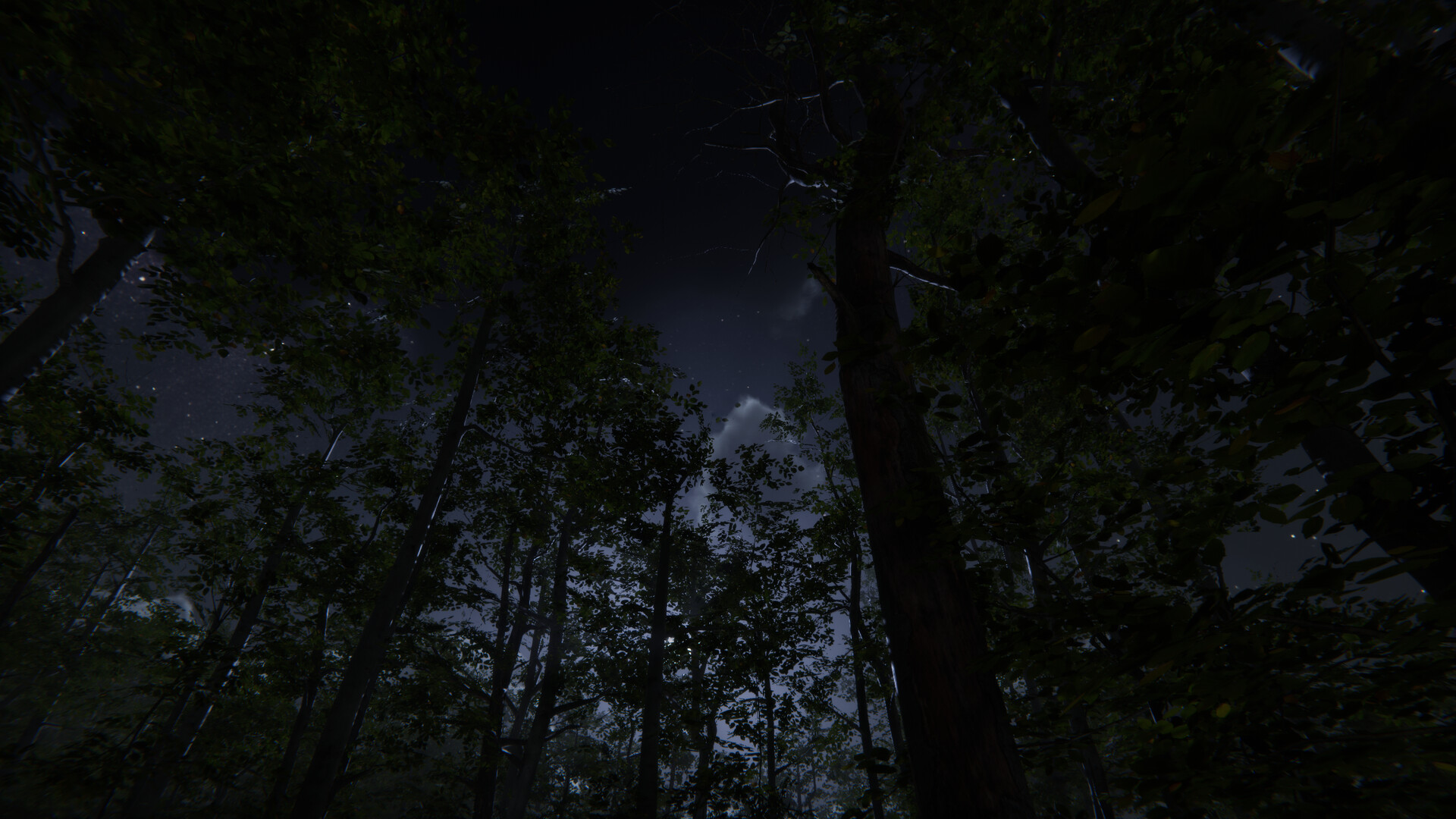 Camping Vlog Simulator 2024 screenshot 8