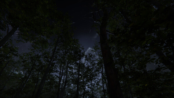 Camping Vlog Simulator 2024.