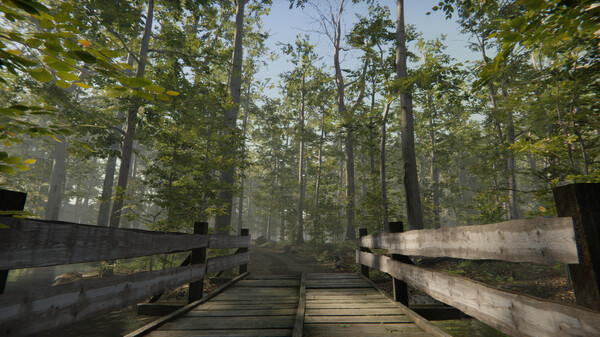 Camping Vlog Simulator 2024.