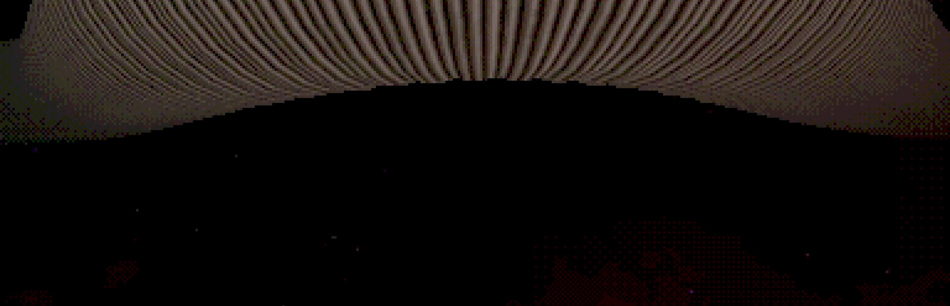 Suspended Animation π½