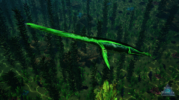Beasts of Bermuda - Elasmosaurus Supporter Warpaint