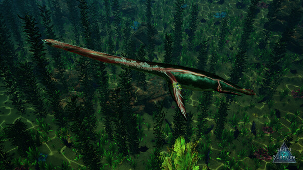 Beasts of Bermuda - Elasmosaurus Supporter Warpaint