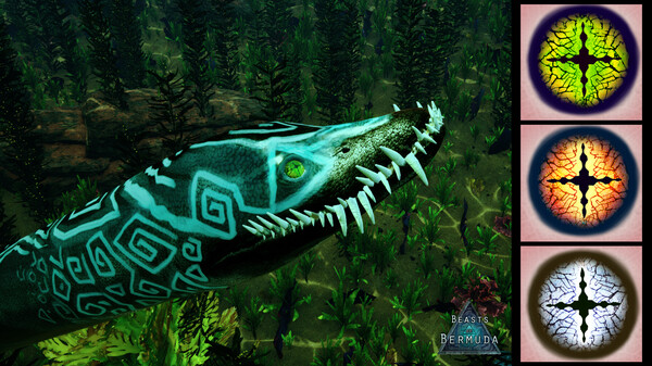 Beasts of Bermuda - Elasmosaurus Supporter Warpaint
