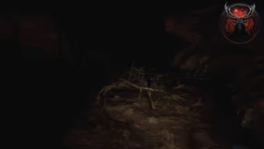 Gnarly Hike video 2