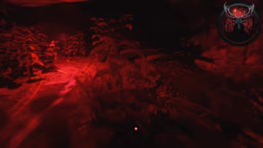 Gnarly Hike video 4