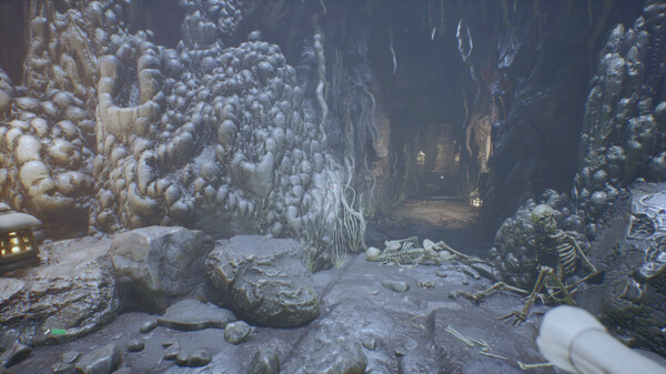 Thumbnail 13