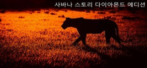 사바나 스토리 다이아몬드 에디션