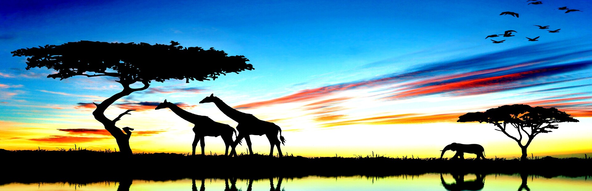 Savanna Story Diamond  Edition